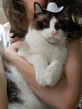 Meet your Posher, Kalie